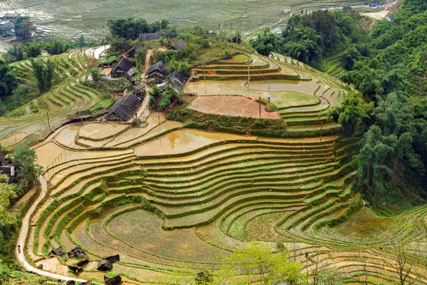 Agricultura de aldea Terraced Rice Field hill —  Fotos de Stock