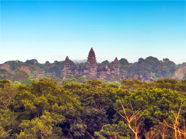 Angkor wat, siem θερισμού, cambodia. — Φωτογραφία Αρχείου