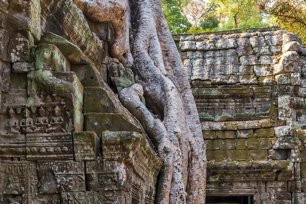 Angkor Wat, kompleksu Świątynnego Khmerów, — Zdjęcie stockowe