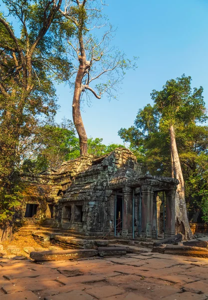 Angkor Wat, Khmer tempel komplex, — Stockfoto