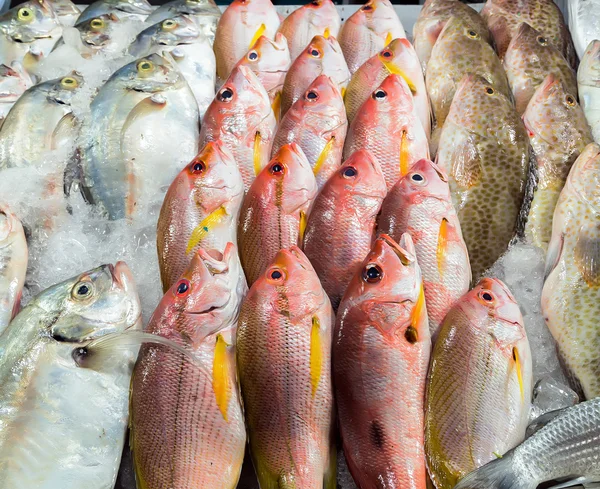 Fundo de frutos do mar frescos — Fotografia de Stock