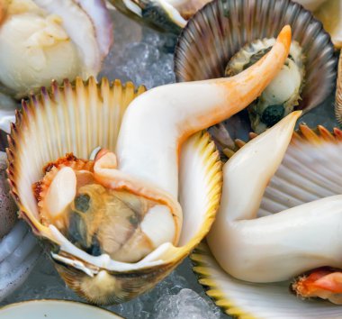 Fistolar buza yakın çekim