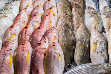 taze deniz ürünleri arka plan