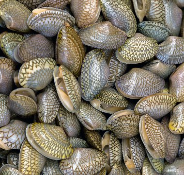 Buz zemin üzerine tarak