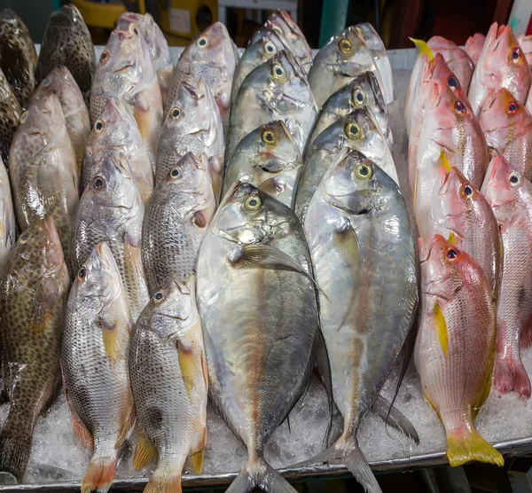 Poissons fruits de mer sur le marché — Photo