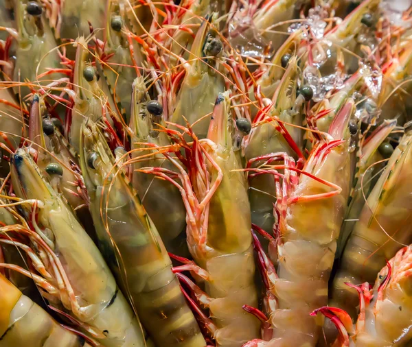 Fresh shrimps background — Stock Photo, Image