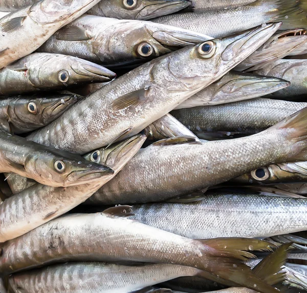 Fresh silver fish — Stock Photo, Image