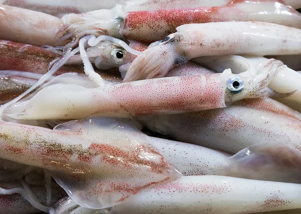 Calamares en el mercado marítimo — Foto de Stock