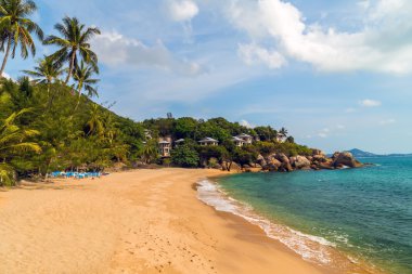 tropikal plaj manzara