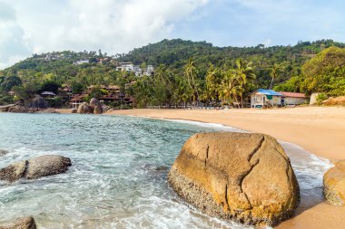 tropikal plaj manzara