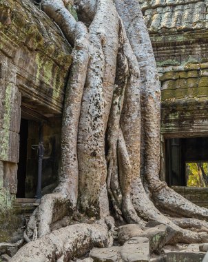 Angkor wat, siem hasadı, Kamboçya.