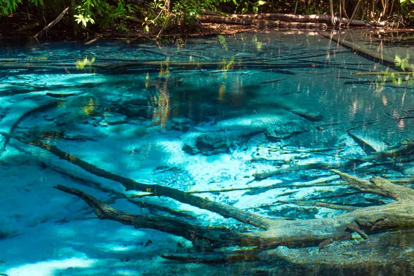 La piscine bleue dans la forêt — Photo