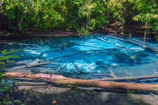 Modrá Laguna Pool — Stock fotografie