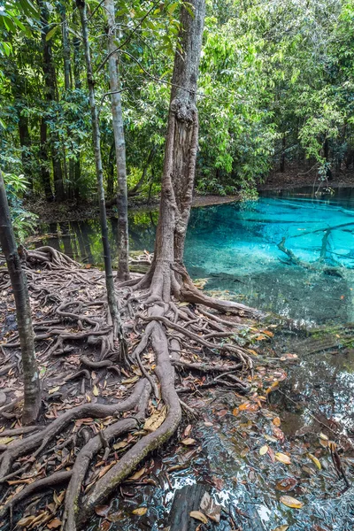 Modré fondu v provincii Krabi, Thajsko — Stock fotografie