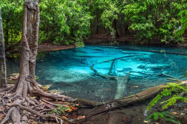 Mavi havuzu Krabi il, Tayland