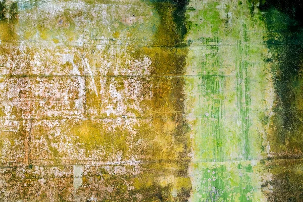 Texture green background dark — Stock Photo, Image