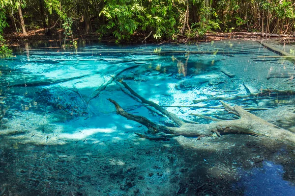 Modrý bazén v lese — Stock fotografie