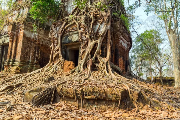 Antik Tapınak Koh Ke, Kamboçya — Stok fotoğraf