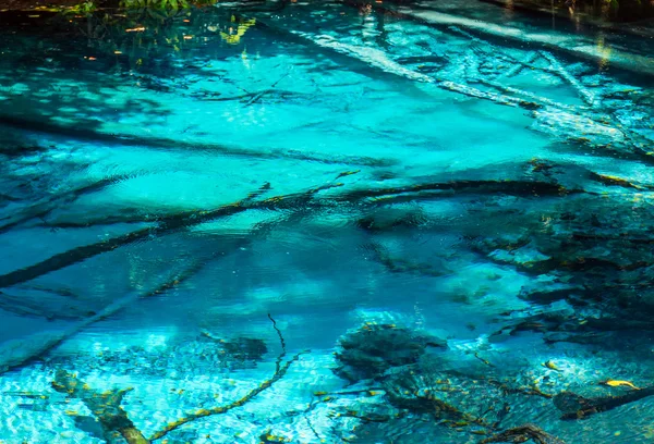 A piscina azul na floresta — Fotografia de Stock