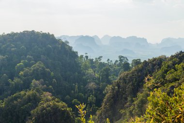 Peyzaj tropikal dağ
