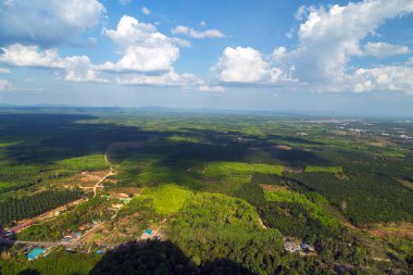 Yeşil orman ve mavi gökyüzü