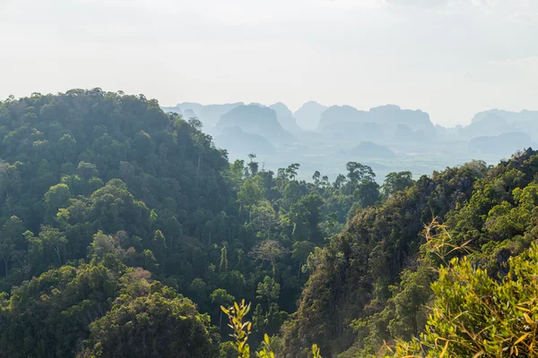 Tropikalny góra krajobraz — Zdjęcie stockowe