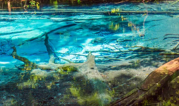 Голубой бассейн в лесу — стоковое фото