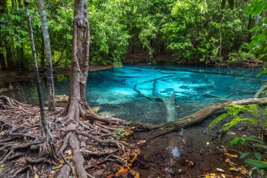 Mavi havuzu Krabi il, Tayland