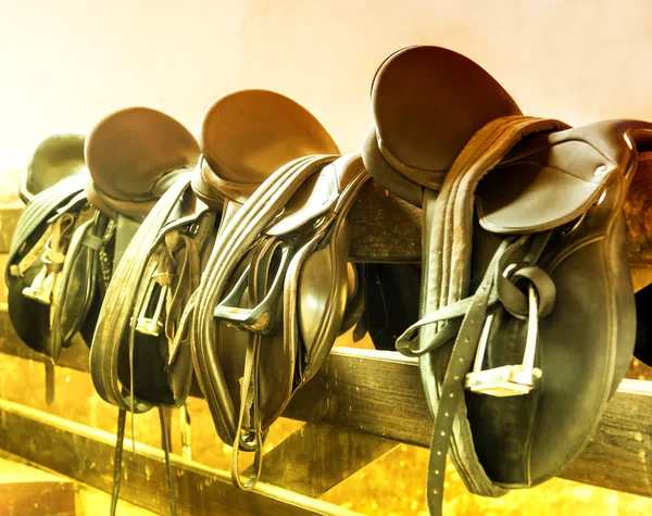 Sunlight Rider Leather Saddles — Stock Photo, Image