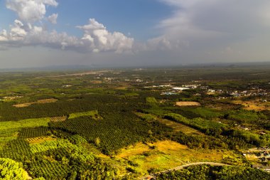 dağ tropikal peyzaj