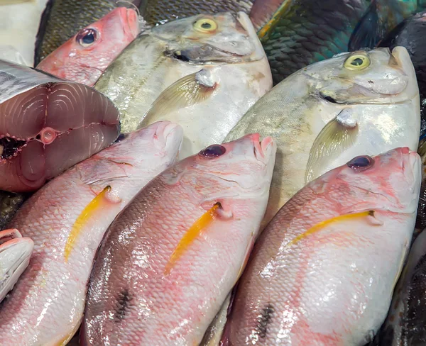 Pescado Mariscos sobre hielo —  Fotos de Stock