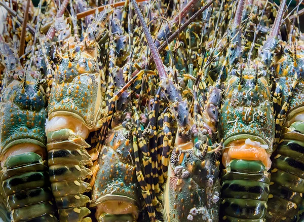 Langosta Alimentos de mar . —  Fotos de Stock