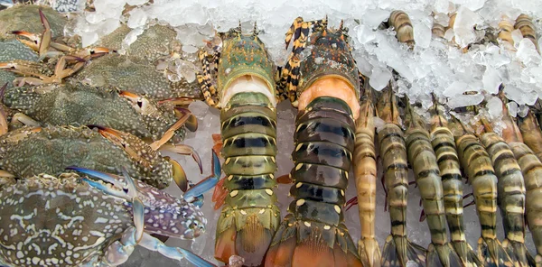 Lobsters Sea food — Stock Photo, Image