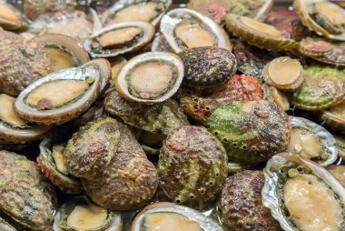 Raw oysters Background