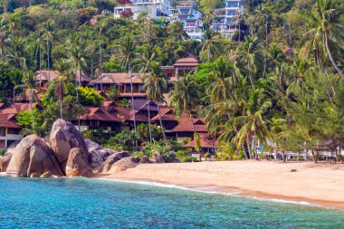 tropikal plaj manzara