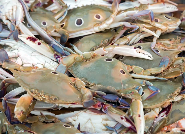 Crabs Sea food.