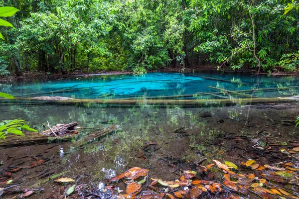 Emerald Blue Pool in forest — Stock Photo, Image