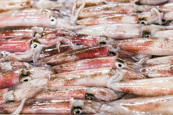 Calamares crudos Fondo — Foto de Stock