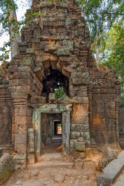 Orman antik Khmer mimarisinde.