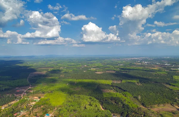 Aerial view on green jungle — Stock Photo, Image