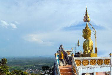 Buda'nın peyzaj tropikal