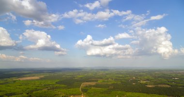 Yeşil orman üzerinde havadan görünümü