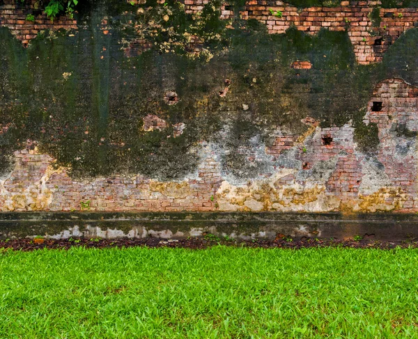 Yeşil çim ve eski tuğla duvar — Stok fotoğraf