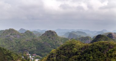 Halong bay orman Adası Deniz