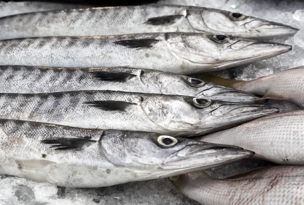 Fresh raw fishes on ice at street market — Stock Photo, Image