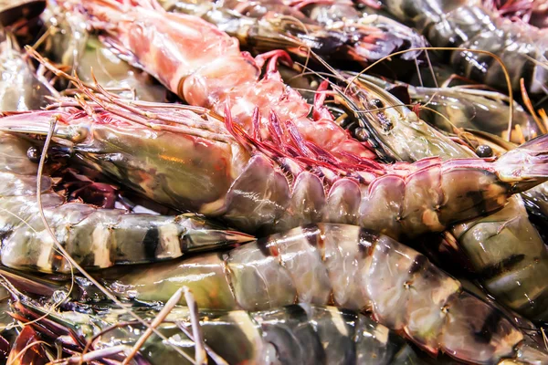 Shrimps fresh on ice at street market — Stock Photo, Image