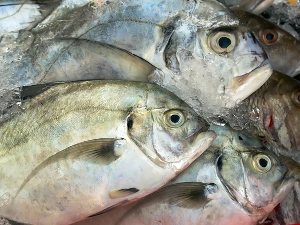 Raw fishes street market — Stock Photo, Image