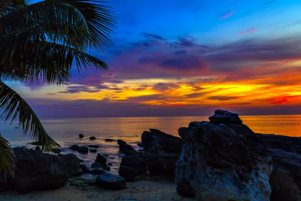 Gün batımı palmiye ağaçları caraibe deniz