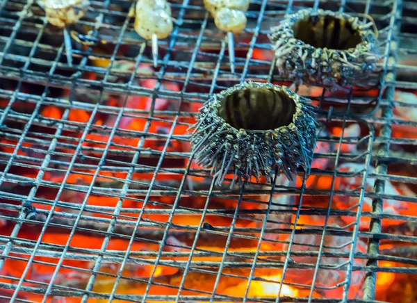 Barbacoa de erizo de mar — Foto de Stock