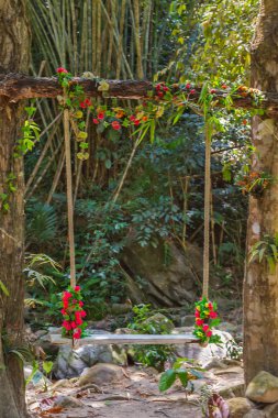 tropikal yağmur ormanları tahterevalli